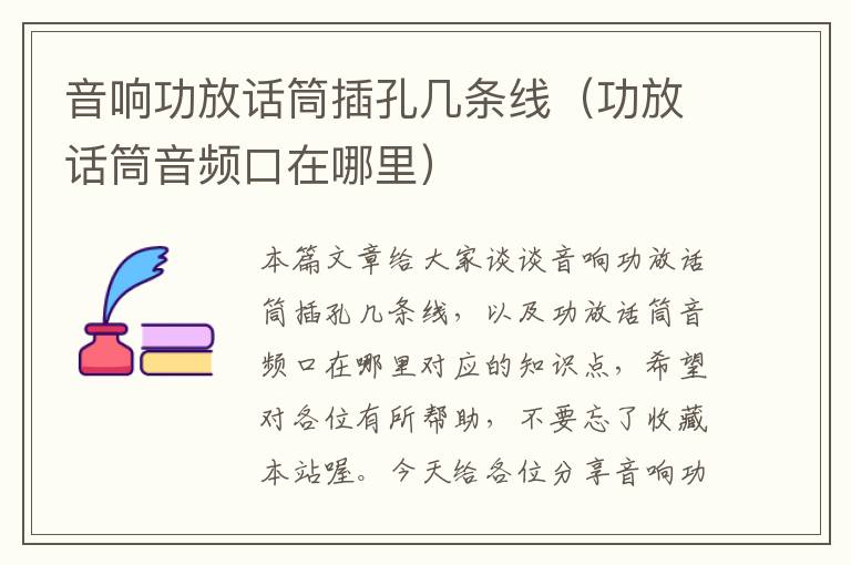 音响功放话筒插孔几条线(功放话筒音频口在哪里)