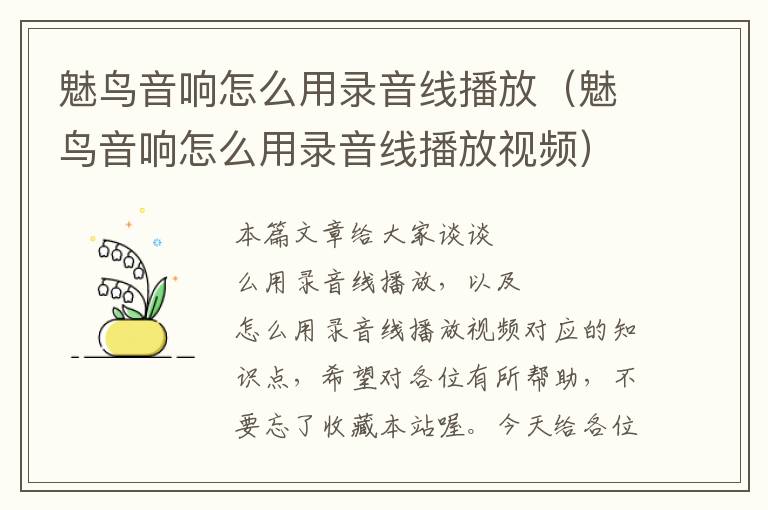 魅鸟音响怎么用录音线播放(魅鸟音响怎么用录音线播放视频)