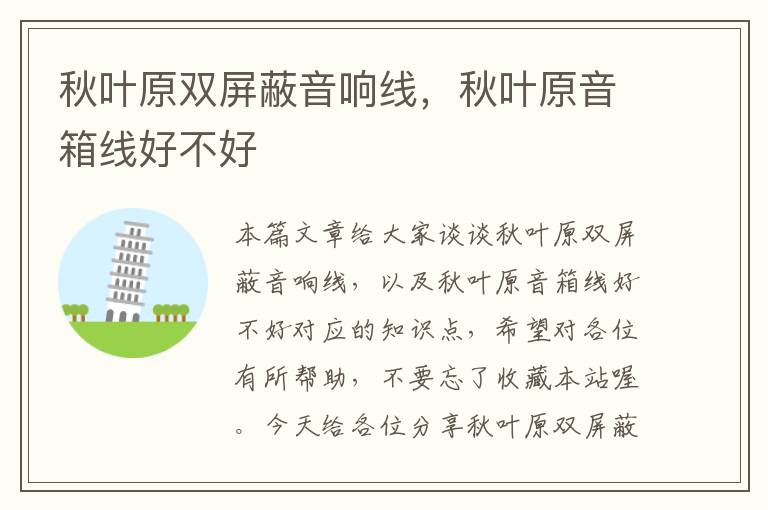 秋叶原双屏蔽音响线,秋叶原音箱线好不好