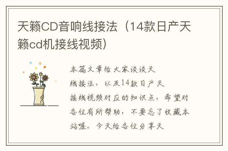 天籁CD音响线接法(14款日产天籁cd机接线视频)