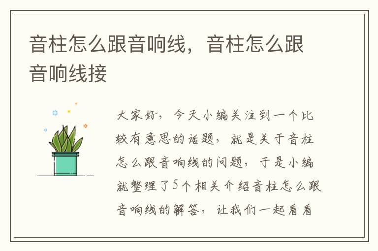 音柱怎么跟音响线,音柱怎么跟音响线接