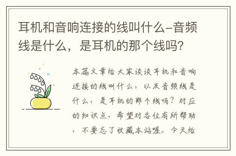 耳机和音响连接的线叫什么-音频线是什么,是耳机的那个线吗?