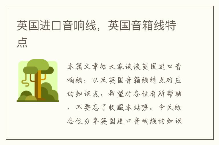 英国进口音响线,英国音箱线特点