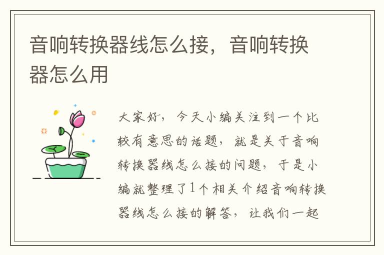 音响转换器线怎么接,音响转换器怎么用