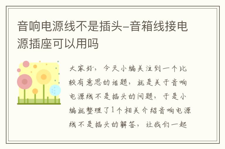 音响电源线不是插头-音箱线接电源插座可以用吗