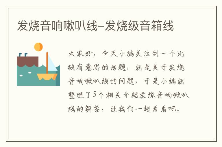 发烧音响嗽叭线-发烧级音箱线