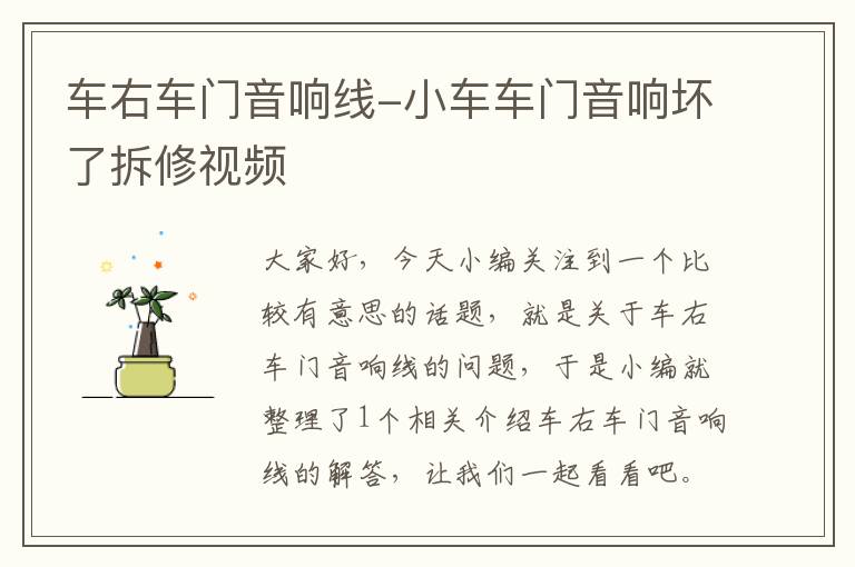 车右车门音响线-小车车门音响坏了拆修视频