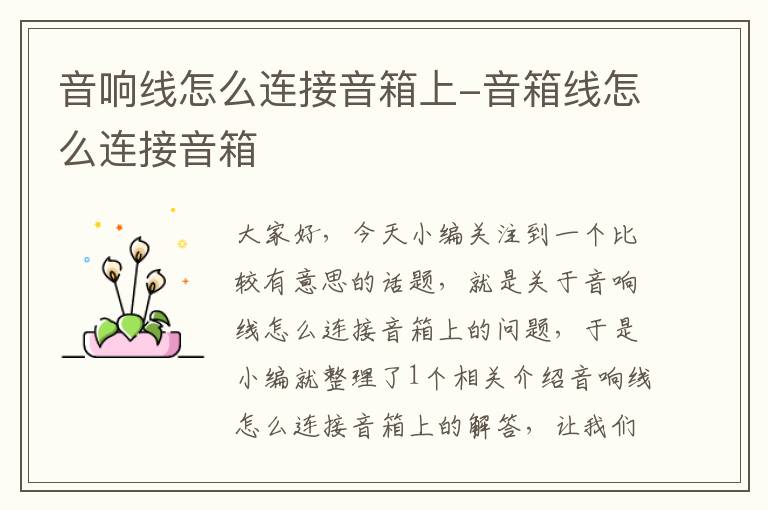 音响线怎么连接音箱上-音箱线怎么连接音箱