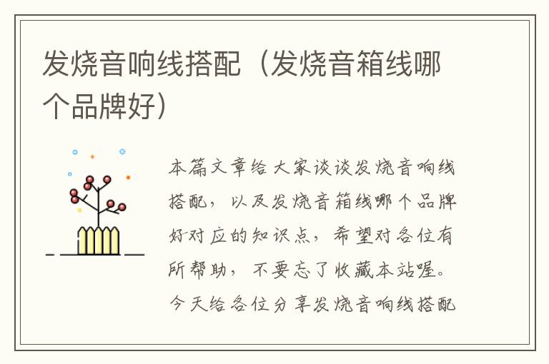 发烧音响线搭配(发烧音箱线哪个品牌好)