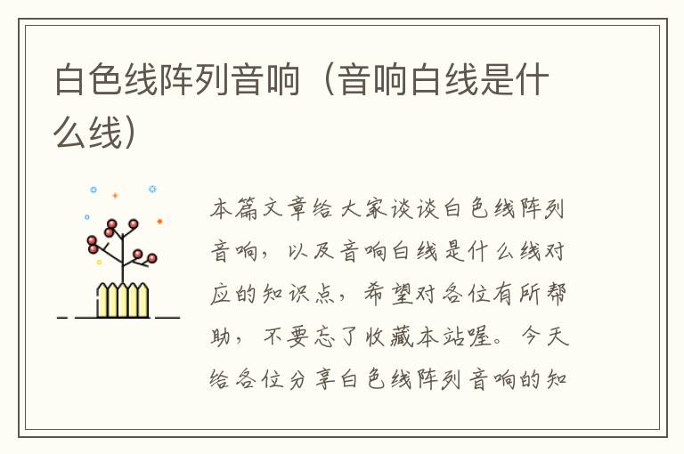 白色线阵列音响(音响白线是什么线)