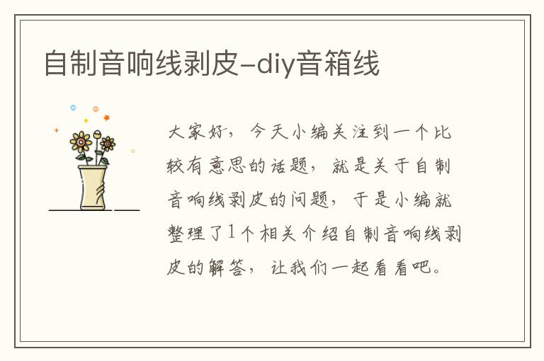 自制音响线剥皮-diy音箱线