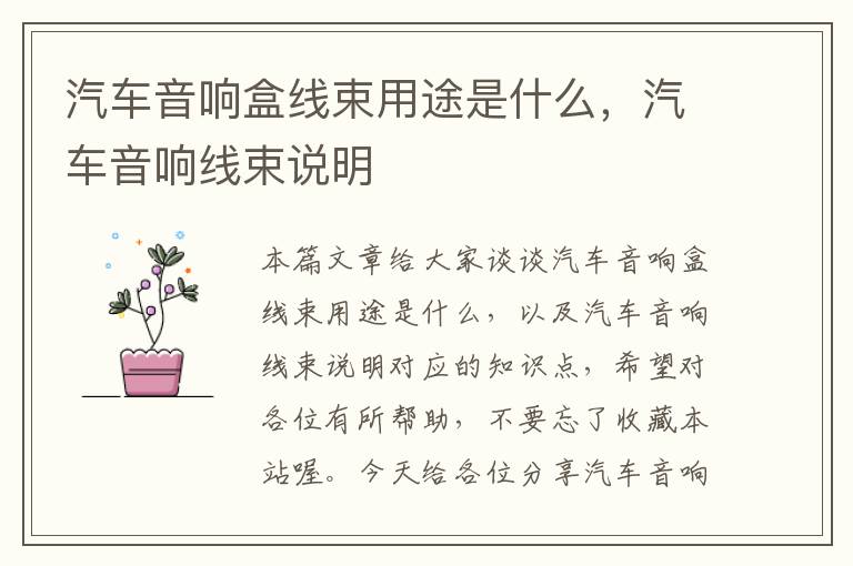 汽车音响盒线束用途是什么,汽车音响线束说明