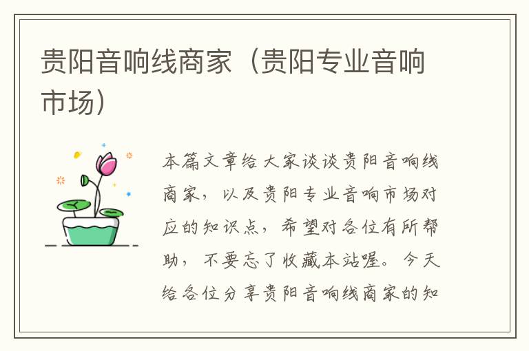 贵阳音响线商家(贵阳专业音响市场)