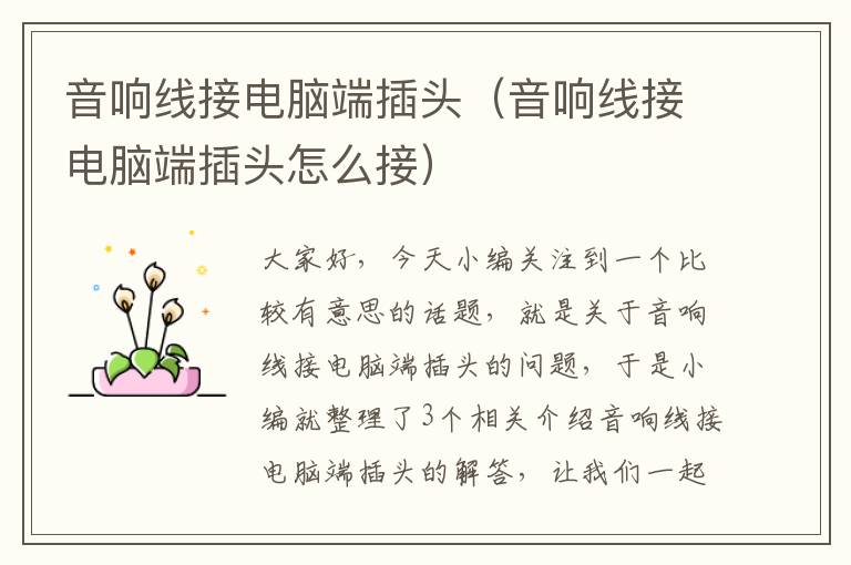 音响线接电脑端插头(音响线接电脑端插头怎么接)