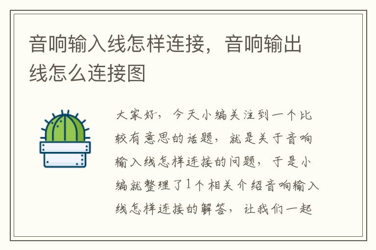 音响输入线怎样连接,音响输出线怎么连接图