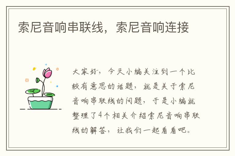 索尼音响串联线,索尼音响连接