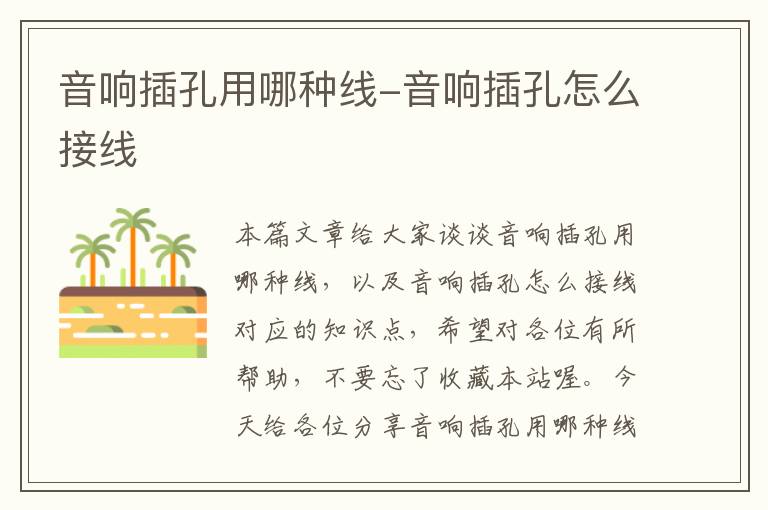 音响插孔用哪种线-音响插孔怎么接线