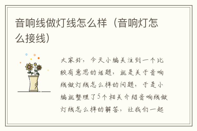 音响线做灯线怎么样(音响灯怎么接线)