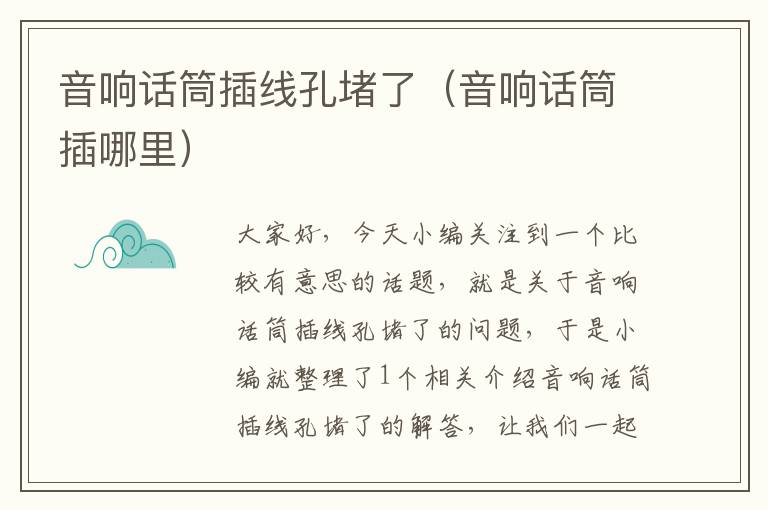 音响话筒插线孔堵了(音响话筒插哪里)
