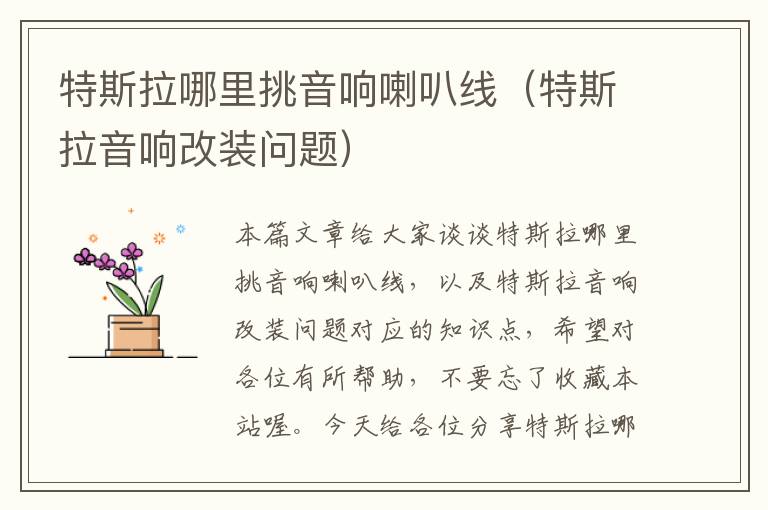 特斯拉哪里挑音响喇叭线(特斯拉音响改装问题)