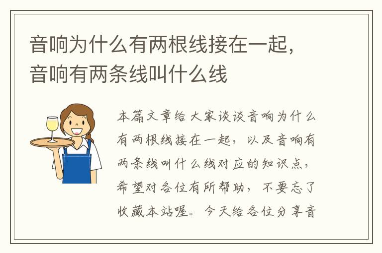 音响为什么有两根线接在一起,音响有两条线叫什么线