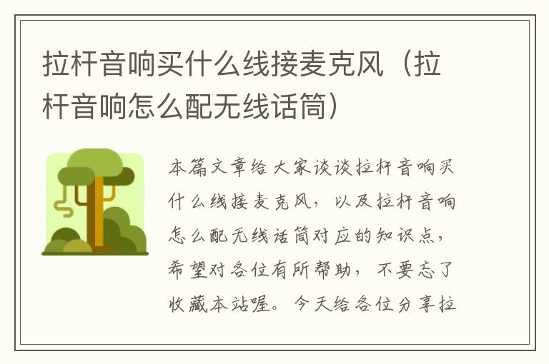 拉杆音响买什么线接麦克风(拉杆音响怎么配无线话筒)