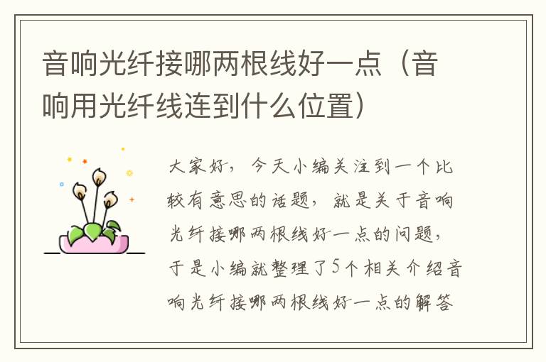 音响光纤接哪两根线好一点(音响用光纤线连到什么位置)