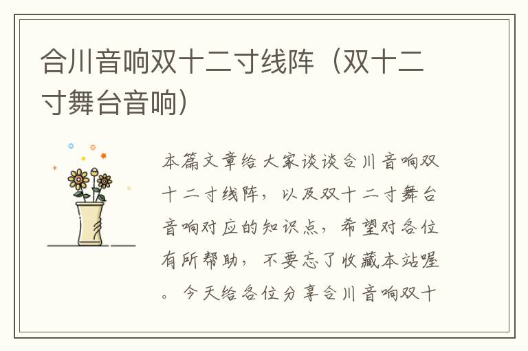 合川音响双十二寸线阵(双十二寸舞台音响)