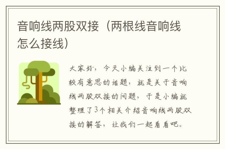 音响线两股双接(两根线音响线怎么接线)
