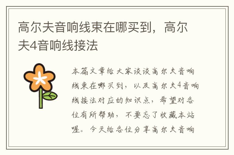 高尔夫音响线束在哪买到,高尔夫4音响线接法