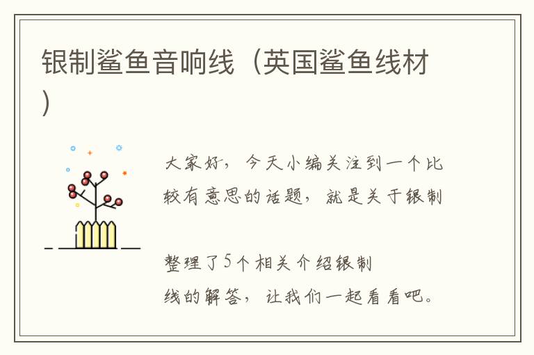 银制鲨鱼音响线(英国鲨鱼线材)
