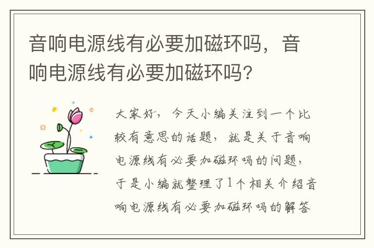 音响电源线有必要加磁环吗,音响电源线有必要加磁环吗?