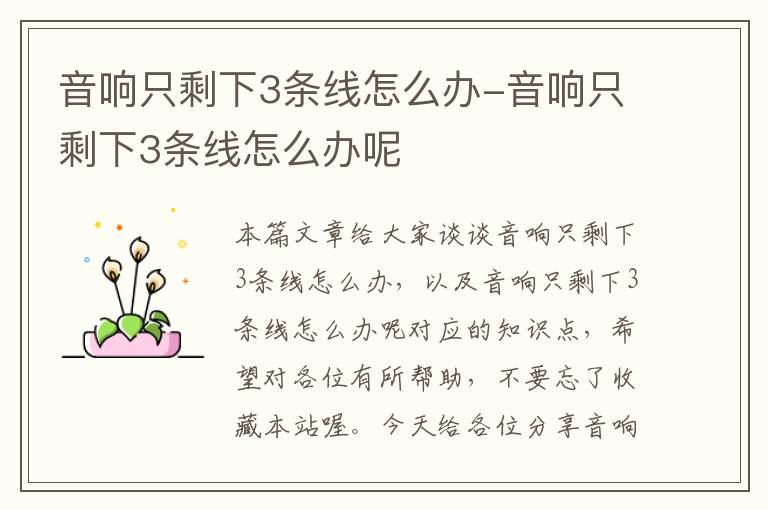 音响只剩下3条线怎么办-音响只剩下3条线怎么办呢