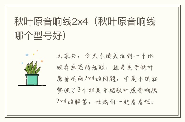 秋叶原音响线2x4(秋叶原音响线哪个型号好)