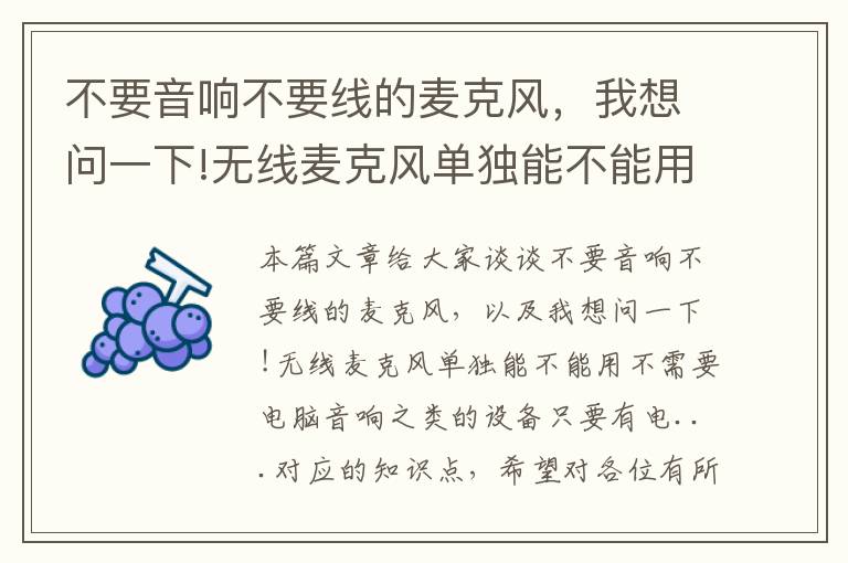 不要音响不要线的麦克风,我想问一下!无线麦克风单独能不能用不需要电脑音响之类的设备只要有电...