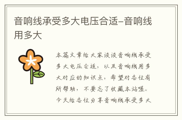 音响线承受多大电压合适-音响线用多大