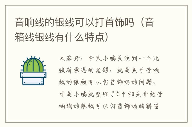 音响线的银线可以打首饰吗(音箱线银线有什么特点)