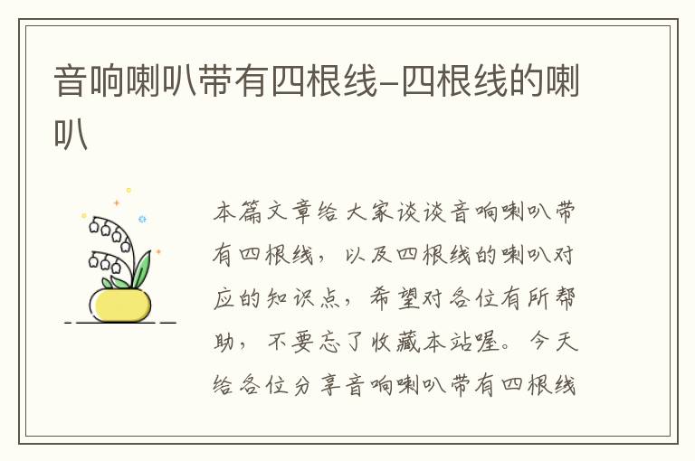 音响喇叭带有四根线-四根线的喇叭