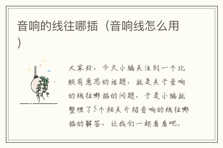 音响的线往哪插(音响线怎么用)
