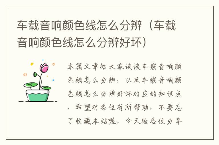 车载音响颜色线怎么分辨(车载音响颜色线怎么分辨好坏)