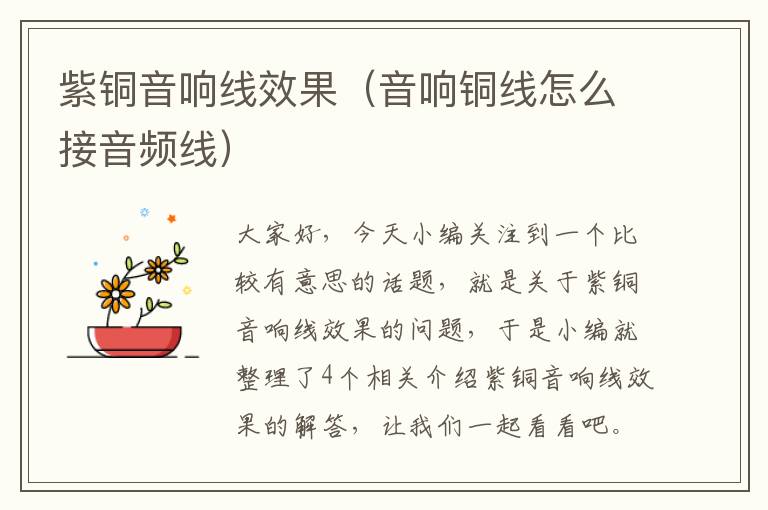 紫铜音响线效果(音响铜线怎么接音频线)