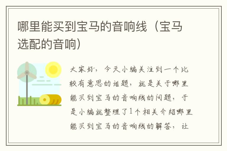 哪里能买到宝马的音响线(宝马选配的音响)