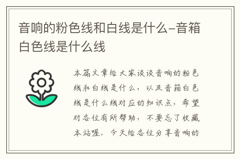 音响的粉色线和白线是什么-音箱白色线是什么线