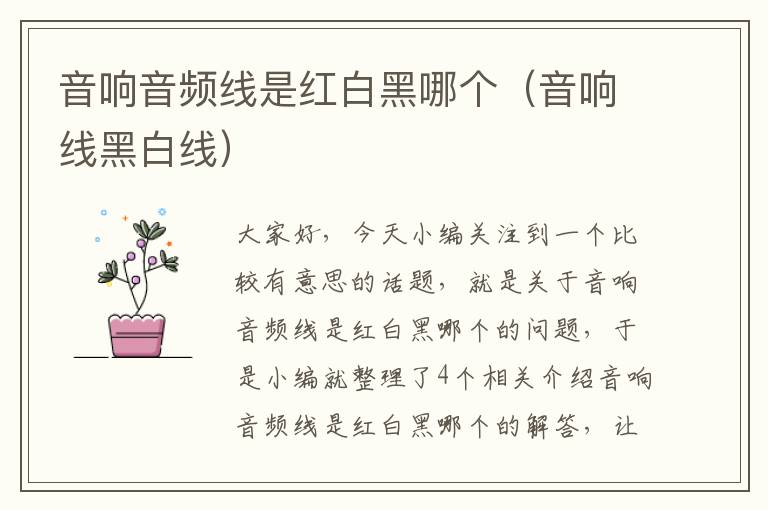 音响音频线是红白黑哪个(音响线黑白线)