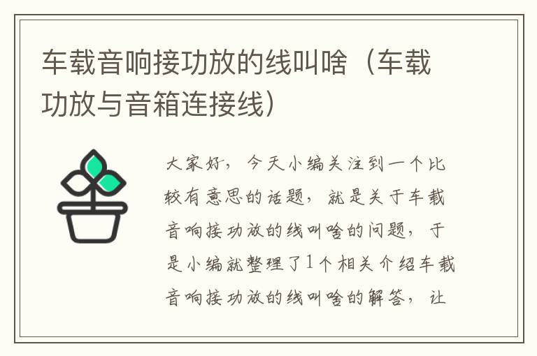 车载音响接功放的线叫啥(车载功放与音箱连接线)