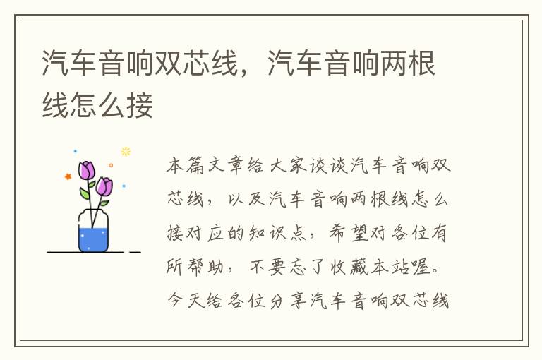 汽车音响双芯线,汽车音响两根线怎么接