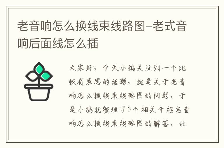 老音响怎么换线束线路图-老式音响后面线怎么插