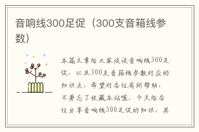 音响线300足促(300支音箱线参数)
