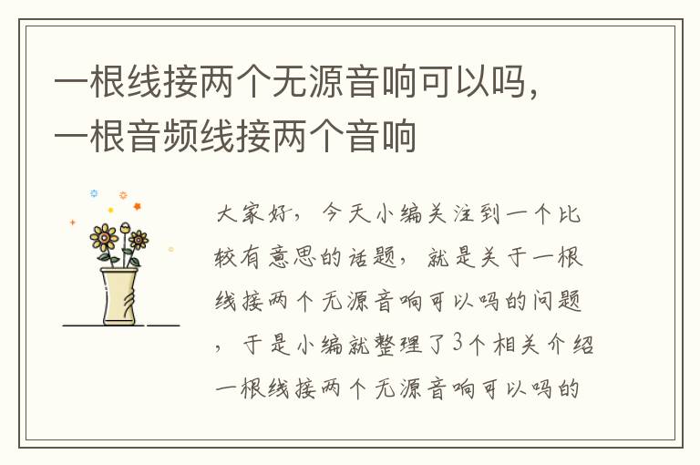 一根线接两个无源音响可以吗，一根音频线接两个音响