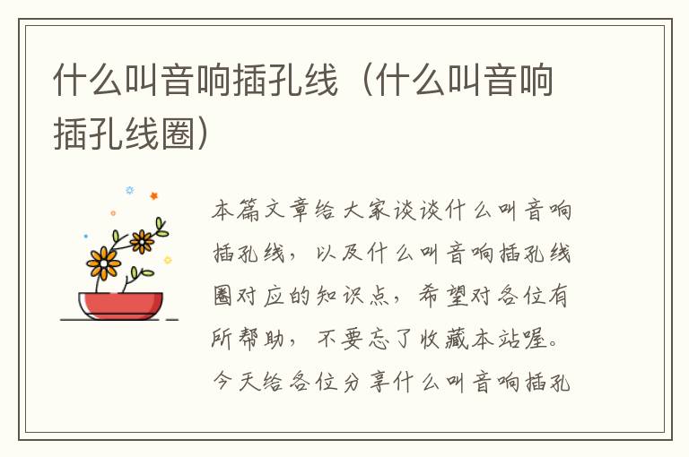 什么叫音响插孔线(什么叫音响插孔线圈)